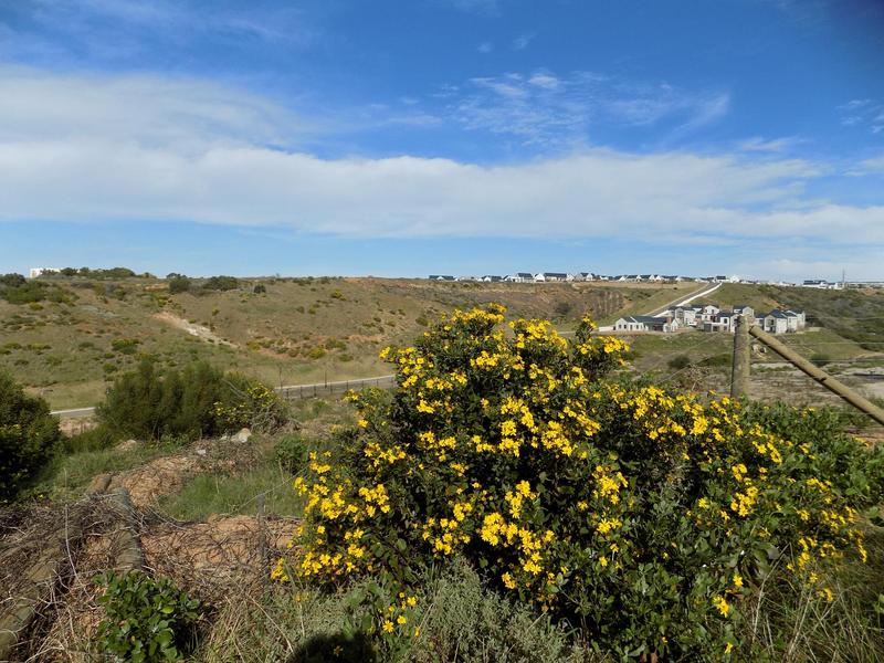 0 Bedroom Property for Sale in Menkenkop Western Cape